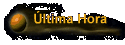 ltima Hora